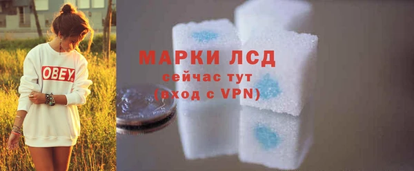 шишки Анива