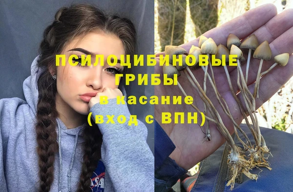 спиды Вяземский