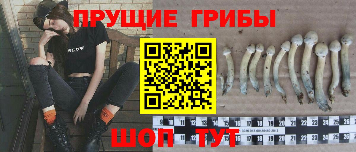где купить   Вход с VPN  Старый Оскол  Псилоцибиновые грибы прущие грибы 