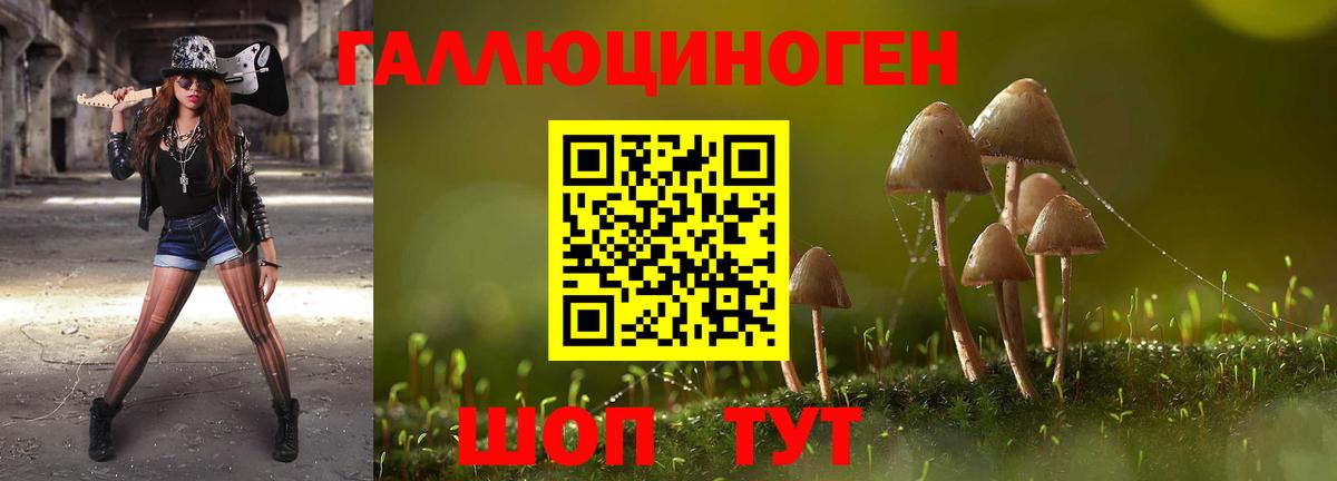 Галлюциногенные грибы Cubensis Старый Оскол